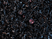 Trois Fruits Noirs - Compagnie Coloniale
