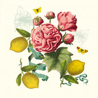 Serviette de table Citrons de Menton romance - Garnier-Thiebaut